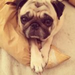 家族の大切さを感じる特別な1日でした。